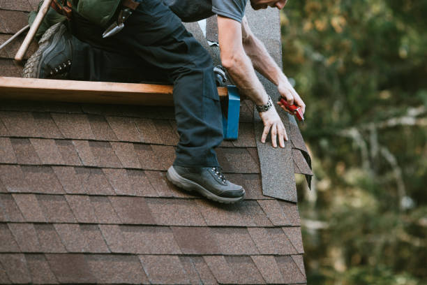 Best Storm Damage Roof Repair  in Maple Park, IL